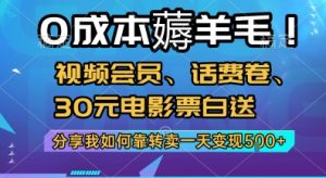 0成本薅羊毛!视频会员、话费卷、30元电影票白送,分享我如何靠转卖一天变现5张+【揭秘】-赚钱驿站