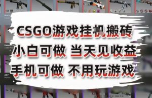 CSGO游戏挂G搬砖,小白纯手机即可操作,不用电脑打游戏,日入3张+,副业网创项目【揭秘】-赚钱驿站