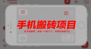 手机搬砖项目,有手就能做,亲测一小时几十,苹果安卓都可以-赚钱驿站
