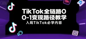 TikTok全链路0-1变现路径教学,入局TikTok必学内容-赚钱驿站