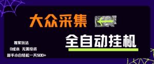 大众采集全自动玩法,新手小白轻松一天5张+,操作简单零成本【揭秘】-赚钱驿站