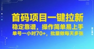 首码项目一键拉新,稳定靠谱,操作简单易上手,单号一小时70+,批量做每天多张【揭秘】-赚钱驿站