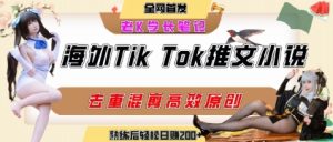 海外tiktok小说推文暴力项目,高停留率,高转化率,上手后一天搞顿饭钱不是问题-赚钱驿站
