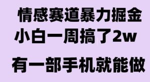 情感暴力掘金项目,新人操作一周挣了2W,长期稳定小白可做【揭秘】-赚钱驿站