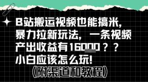 b站掘金计划？搬运视频也能挣拉新的收益，小白应该怎么玩！-赚钱驿站
