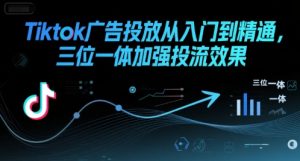 Tiktok广告投放从入门到精通,三位一体加强投流效果-赚钱驿站