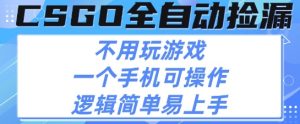 CSGO自动捡漏项目,最新独家玩法,不用挂G不用玩游戏,一个手机即可操作,新手小白轻松月入1W+【揭秘】-赚钱驿站
