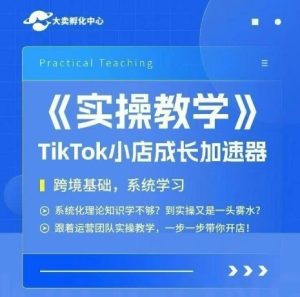 大卖家孵化中心TikTok实操课,TikTok小店成长加速器,跨境基础系统学习,一步一步带你开店-赚钱驿站