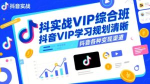 抖音实战VIP综合班,抖音VIP学习规划请晰抖音各种变现渠道-赚钱驿站