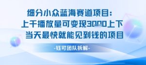 小众蓝海赛道项目:当天变现1k+适合新手操作 +适合长期玩-赚钱驿站