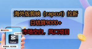 海外版剪映(capcut)拉新,日结算1k+,市场空白,风口项目-赚钱驿站