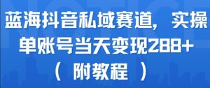 蓝海抖音私域赛道,实操单账号当天变现288+(附教程)-赚钱驿站