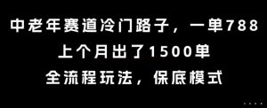 中老年赛道冷门路子，一单788，上个月出了1500单，全流程玩法，保底模式【揭秘】-赚钱驿站