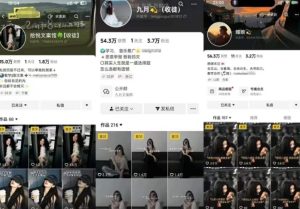 抖音图文文案赛道新玩法,快速养号起号,广告收益分成+橱窗带货+教学收徒等-赚钱驿站
