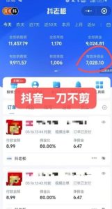 抖音短视频一刀不剪带货，不剪辑，不直播，每天发个视频，等着出单获取带货佣金-赚钱驿站