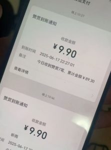 二次元男粉快速变现项目,私域卖虚拟产品,百分利润-赚钱驿站