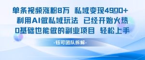 单条视频私域变现4.9k+利用AI做私域玩法 已经开始火热0基础也能做的副业项目轻松上手-赚钱驿站