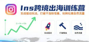 Ins跨境出海训练营,实战驱动玩法,打破不涨粉怪象,玩转社媒自然流量-赚钱驿站