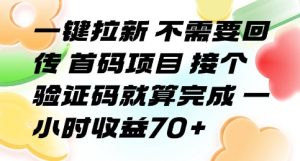 一键拉新 不需要回传 首码项目 接个验证码就算完成 一小时收益70+【揭秘】-赚钱驿站