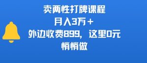 卖两性打牌课程，月入3W+外边收费899的课程，这里0元，悄悄做-赚钱驿站