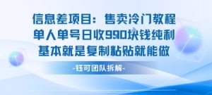 信息差项目：售卖冷门教程单人单号日收9张纯利基本就是复制粘贴就能做-赚钱驿站