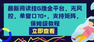 最新阅读挂G撸金平台，无风控，单窗口70+，支持矩阵，保姆级教程【揭秘】-赚钱驿站