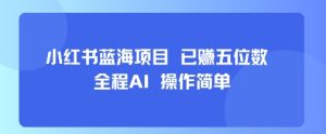 小红书蓝海项目,全程AI,操作简单,已挣五位数-赚钱驿站