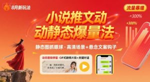 8月小说推文全新玩法,动静态图片+搭配小说文案爆量玩法-赚钱驿站