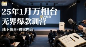25年1月万相台无界爆款特训营线下录音-赚钱驿站