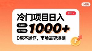在小红书上发现个冷门路子，需求不小，零成本操作，每天能有1k进账-赚钱驿站