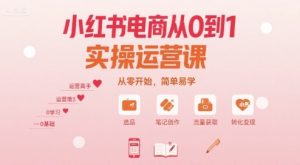 小红书电商从0到1实操运营课,从零开始,简单易学-赚钱驿站