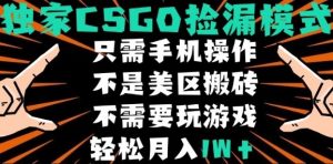 CSGO自动捡漏项目,最新独家玩法,不是美区搬砖,不需要了解和玩游戏,新手小白轻松月入1W+【揭秘】-赚钱驿站