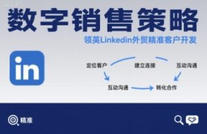 数字销售策略领英LinkedIn外贸精准客户开发-赚钱驿站