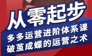 拼多多运营进阶系统课，从零起步，多多运营进阶体系课，破茧成蝶的运营之术-赚钱驿站