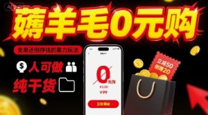 薅羊毛0元购,免单还倒挣钱的暴力玩法,人人可做,纯干货-赚钱驿站