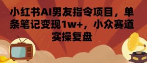 小红书AI男友指令项目，单条笔记变现1w+，小众赛道实操复盘-赚钱驿站