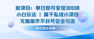 新项目单日即可变现3张的小白玩法无脑操作不封号安全引流-赚钱驿站