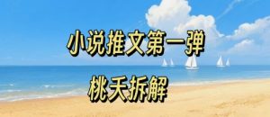 小说推文项目操作全流程第一弹,0粉就能做,门槛低非常适合新手-赚钱驿站