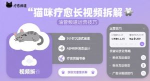 猫咪疗愈长视频拆解 &油管频道运营技巧-赚钱驿站