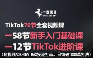 TikTok全套视频课，新手入门+进阶课，短视频ADS-GMV MAX投流打品，日销破1000单打法-赚钱驿站