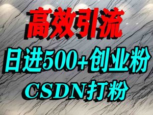 怎么打创业粉？CSDN又一个你不知道的打粉引流神秘平台，单人日引500+精准流量-赚钱驿站