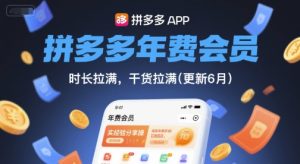 拼多多年费会员,实经验分享操,时长拉满,干货拉满(更新9月)-赚钱驿站