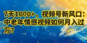7天收益1k+,视频号新风口:中老年情感视频如何月入过W?-赚钱驿站