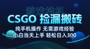 8月最新游戏搬砖,CSGO纯挂G,不需要玩游戏,实现真挂G,月入1W+【揭秘】-赚钱驿站