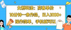 女粉玩法:高客单价,10分钟一条作品,日入1k+操作简单,手机就可以-赚钱驿站