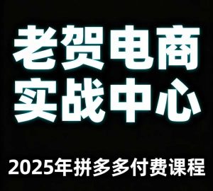 老贺电商2025年拼多多付费课程，用通俗易懂的方法告诉你多多怎么玩-赚钱驿站