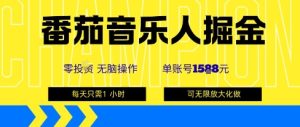 番茄音乐人掘金，单账号最高可撸1k+，可无限矩阵去做，零投入-赚钱驿站