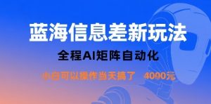 蓝海信息差新玩法,全程AI矩阵自动化小白可以操作当天搞了1k+-赚钱驿站