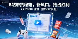B站带货秘籍,新风口,抢占红利,7天2k+佣金【附SOP手册】-赚钱驿站