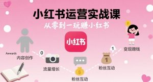 小红书运营实战课,从零到一玩賺小红书-赚钱驿站